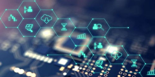 新致軟件 毛利率與研發(fā)費(fèi)率不及同行，高負(fù)債與財(cái)務(wù)費(fèi)用侵蝕盈利，軟件研發(fā)與推廣面臨挑戰(zhàn)